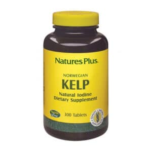 Alghe marine Kelp