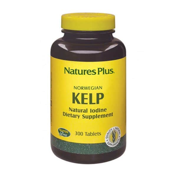 Alghe marine Kelp