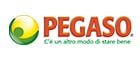 Pegaso