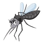 Zanzare